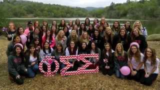 Phi Sig's Sisterhoods 2014