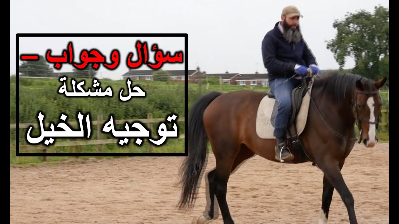 حل مشكلة توجيه الخيل