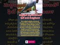 మల్టిపుల్ వ్యాయామాలతో ఫిట్ బాడీ సాధ్యమేనా? #factstorytelugu #exercise #healthtips