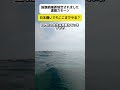 【うわ】日本嫌いでもここまでやるかね？ #shorts