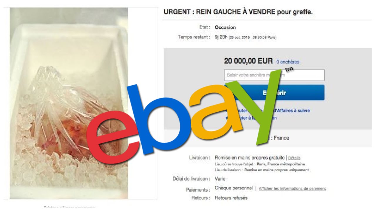 Elle Vend Son Rein Gauche Sur Ebay Pour 20 000 Euros Youtube