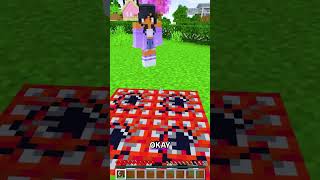 Minecraft TNT Prank Gone WRONG! EXPLOSION! #shorts