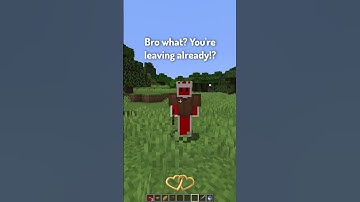 Types of Minecraft Players on a Server