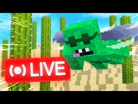 bedwars with webcam on | Go to Twitch to Interact with me!