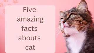 five facts about cats