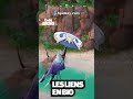 Comment Ouvrir 20 COFFRES ESPRITS par PARTIE sur Fortnite #shorts