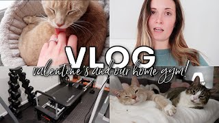 VLOG: putting together our home gym, valentines day, big snowstorm, book update + wfh routine