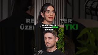 Inkretin Nedir? Glp-1 Ve Gip Ile Tokluk Hissi