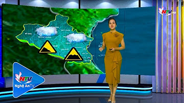 Bản tin Dự báo thời tiết đêm 07 ngày 08/9/2021