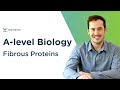 Fibrous Proteins | A-level Biology | OCR, AQA, Edexcel