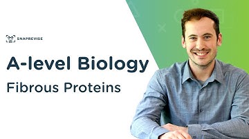Fibrous Proteins | A-level Biology | OCR, AQA, Edexcel