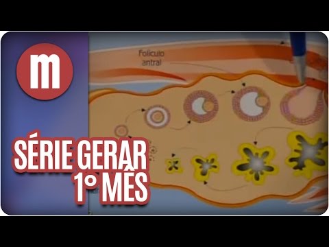 Série Gerar 1: O Primeiro Mês De Gravidez - Mulheres