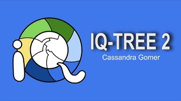 IQ-TREE 2
