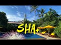 Обзор отеля SHA+ Tropica Bungalow Resort. Наши первые впечатления