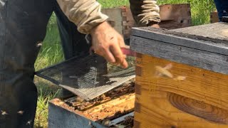 Final Steps as we Prepare for the Honey Flow