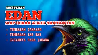 Masteran EDAN untuk burung lomba full tembakn bar bar !! Isian mewah untuk para calon jawara