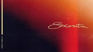 Shawn Mendes U0026 Camila Cabello  Seorita