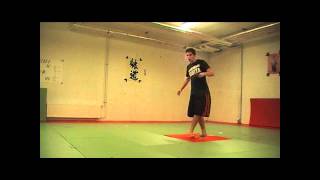 Moonkick