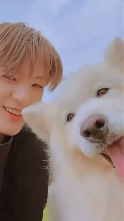 Your boyfriend?LEE JENO👑 ##NCT #NCTDREAM #JENO #leejeno