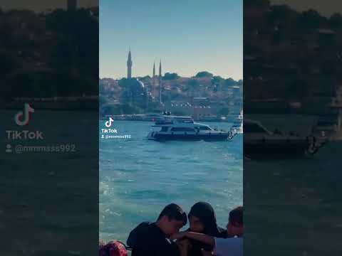 في حياتنا ناس هما الاساس عمرو دياب رحلة بحر