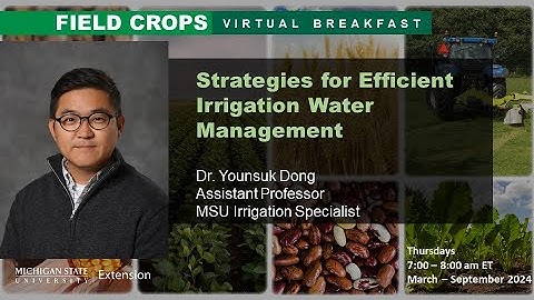 Field Crops Virtual Breakfast: Strategies for Efficient Irrigation Water Management