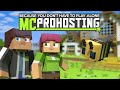 Dedicated Server Minecraft Free Discount Offers