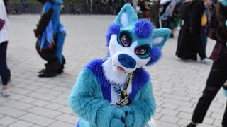 Behind The Fur - Furry Documentary from my POV