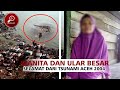 Kisah Nyata..Nenek Di Selamatkan Ular Raksasa saat Tsunami Aceh