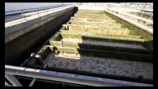 #008 Rapid sand filter backwashing Time lapse