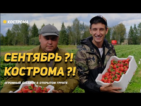 Video: Hva Er Kostroma Kjent For