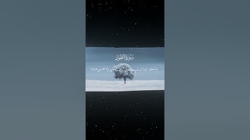سورة الطور|29|القارئ:#محمد_اللحيدان #قران #quran #راحة_نفسية #قران_كريم #تلاوة_هادئة#آية#تلاوة_خاشعة
