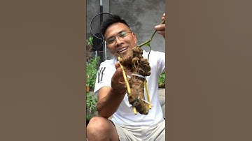 Củ sâm 30 năm tuổi dài 40cm - Quang Sâm #quangsam