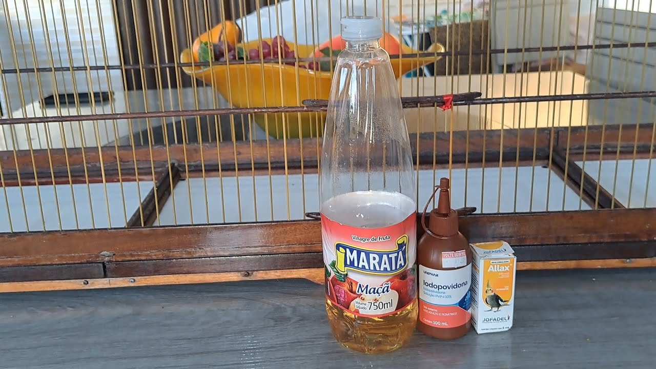 COMO ACABAR COM ACARO DE PENA DO SEU TRINCA FERRO DE UMA VEZ. SOLUÇAO MILAGROSA!