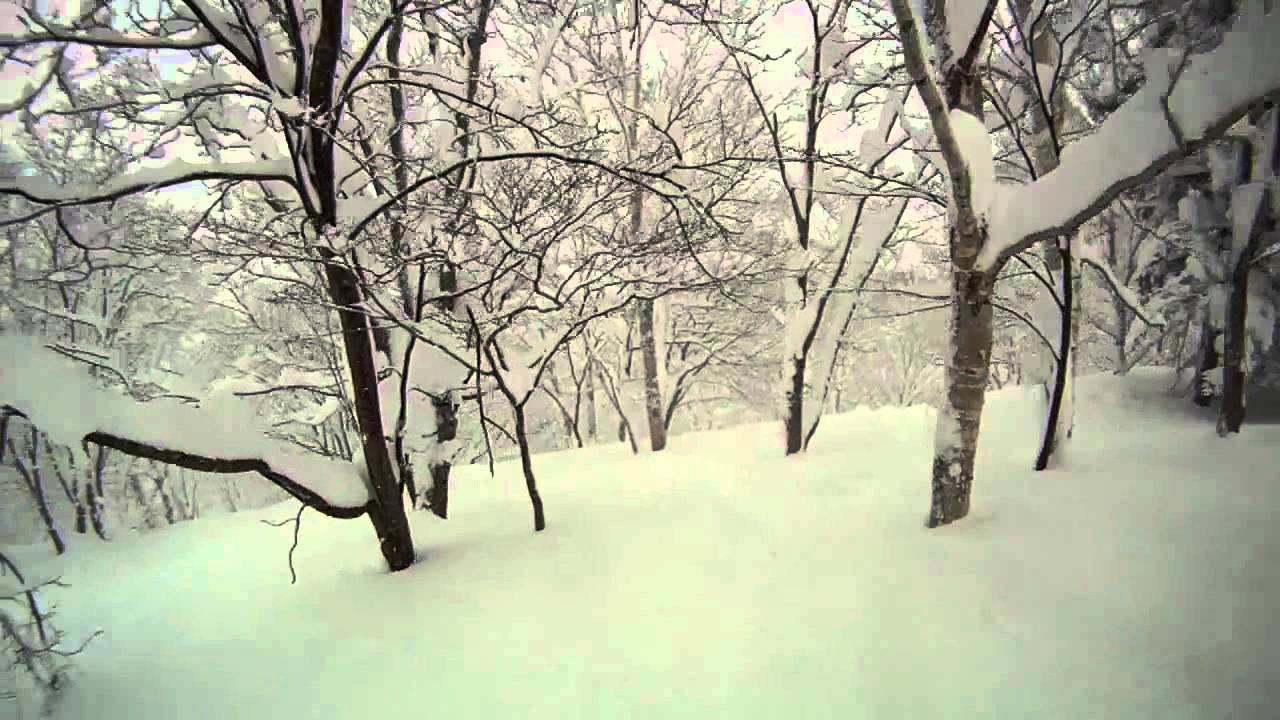 201112 Niseko Tree Run