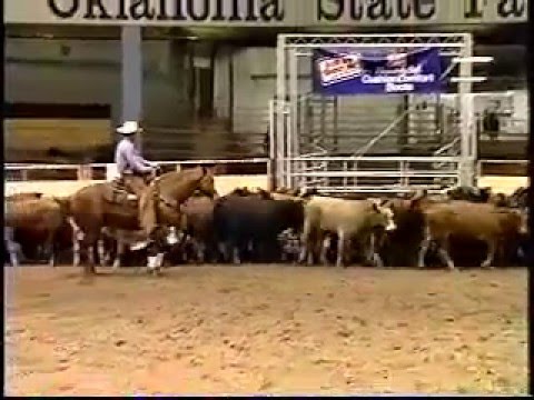 Cindy Hellstern Cutting Horse Highlights 1998