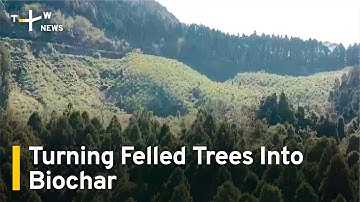 Turning Felled Trees Into Useful Biochar | TaiwanPlus News