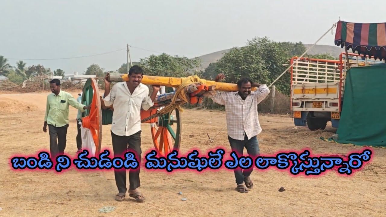 కందిబండ గ్రామంలో  గిత్తలతో అవసరం లేకుండా మనుషులే బండిని ఎలా లాక్కొస్తున్నారు చూడండి 🤔