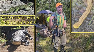 Celebrity Camping With Alligators After Long Hike Into The Everglades Profile
