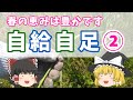 【自給自足②】敷地内の春の恵みを収穫していただきます ♪目指せ自給自足♪