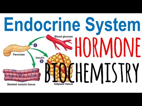 Hormone biochemistry