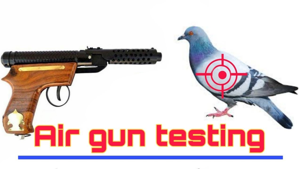 Air gun Testing air gun, air gun teasting, airgun vs pigeons
