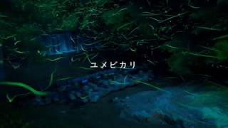 【初音ミク】ユメビカリ【オリジナルリメイク】