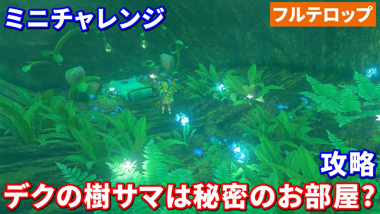 ティアキン】デクの樹サマは秘密のお部屋？攻略 ミニチャレンジ（フル 