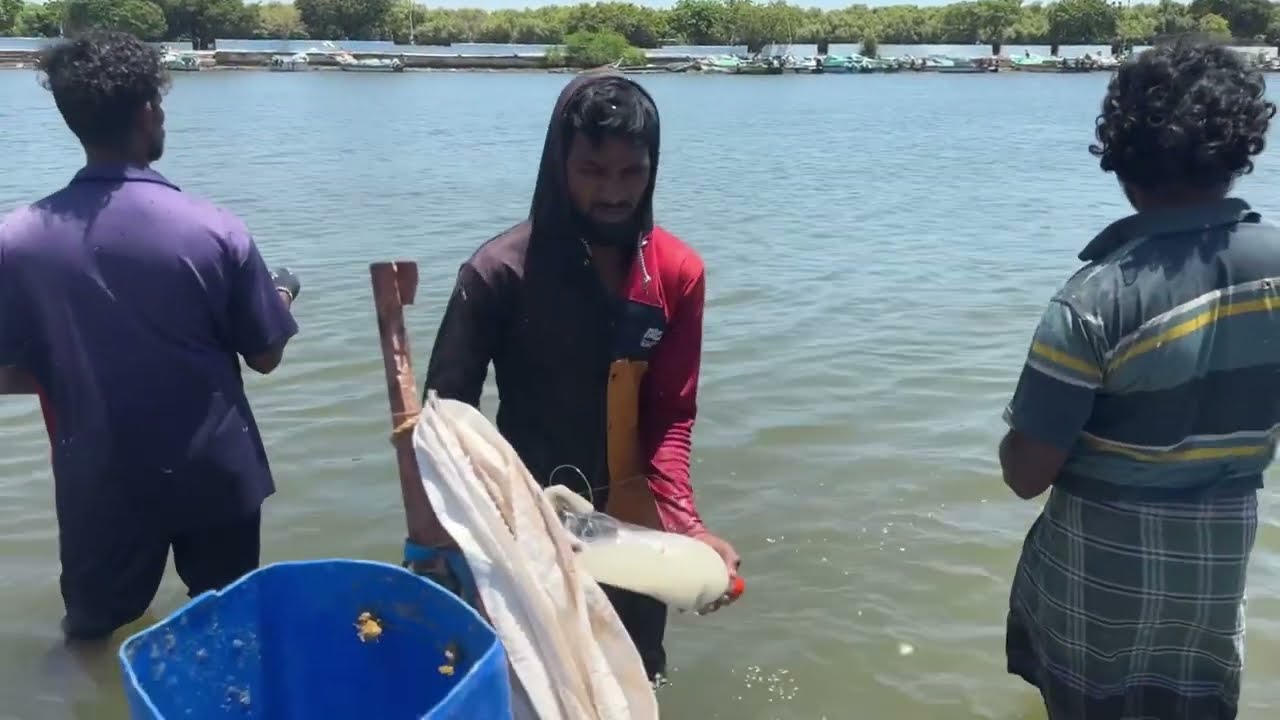 Group of People Catch Huge Mullet Fish with Latest Bottle Fishing Method 