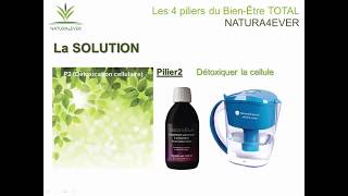 Natura4Ever Le Naturel Au Quotidien Avec Le Concept Des 4 Piliers