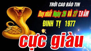 Trời định Tuổi ĐINH TỴ 1977 TRÚNG SỐ ĐỘC ĐẮC TIỀN VỀ NHƯ LŨ đúng 2 ngày tới Tháng 9 âm 2025