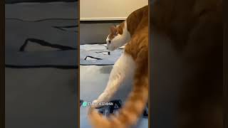 New In Youtube, Hi Im Ceya シ シ