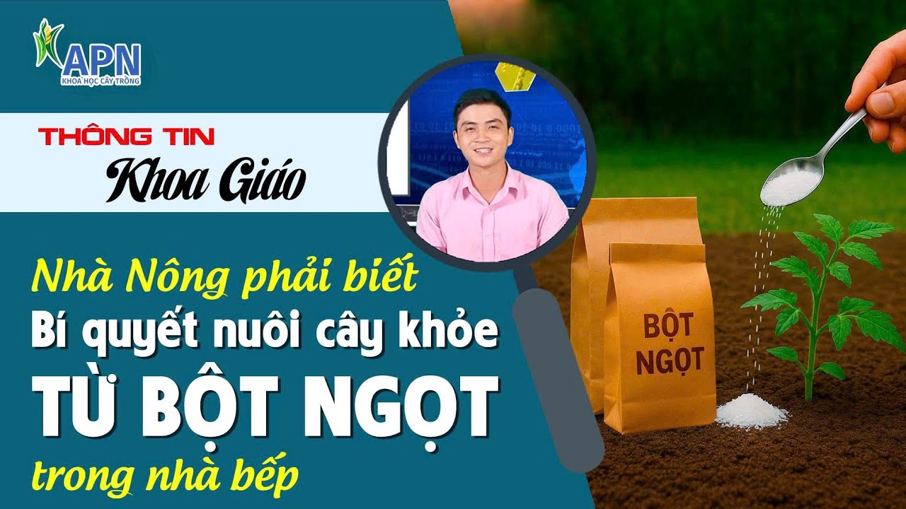 APN - NHÀ NÔNG PHẢI BIẾT ỨNG DỤNG BỘT NGỌT (MÌ CHÍNH) TRONG CANH TÁC
