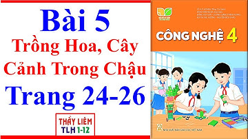 Công Nghệ Lớp 4 Bài 5 | Trồng Hoa Cây Cảnh Trong Chậu | Trang 24 – 26 | Kết Nối Tri Thức