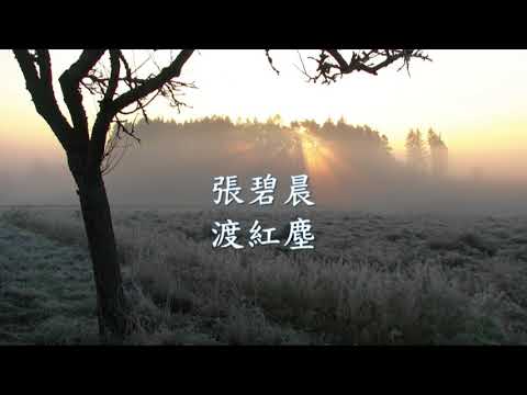 張碧晨 - 渡紅塵.mp4